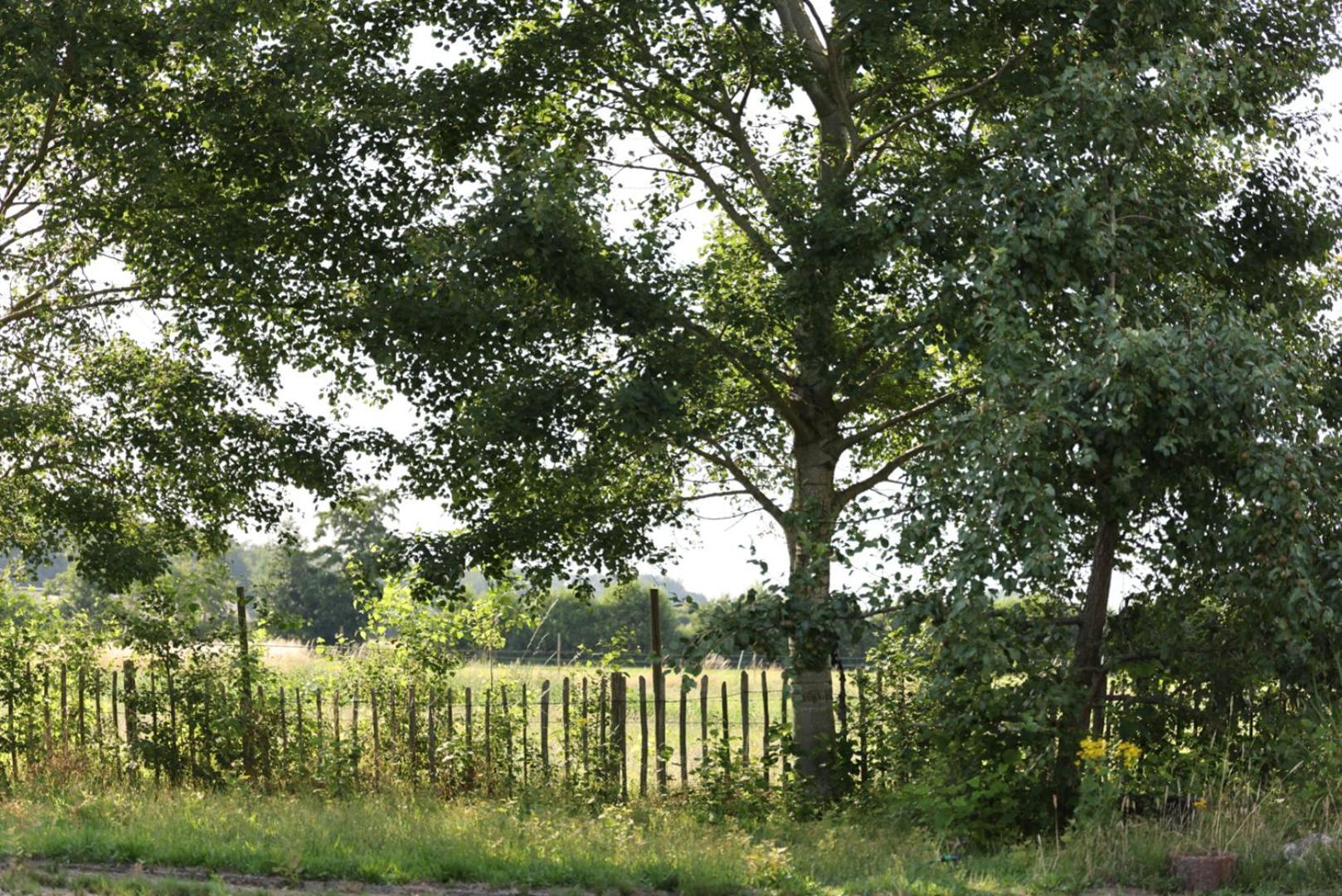 Bed Met Paard Apartment Bergen op Zoom Bagian luar foto